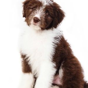 Bundle 3 items receive 10% off